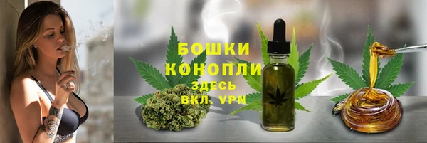 амф Покачи