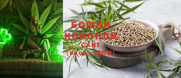 амф Покачи