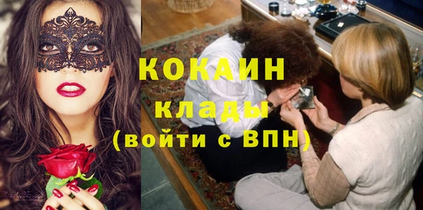 гашик Покровск