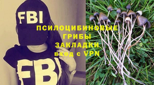амф Покачи
