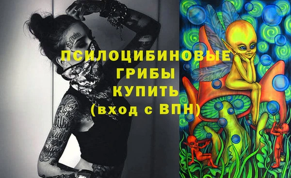 амф Покачи