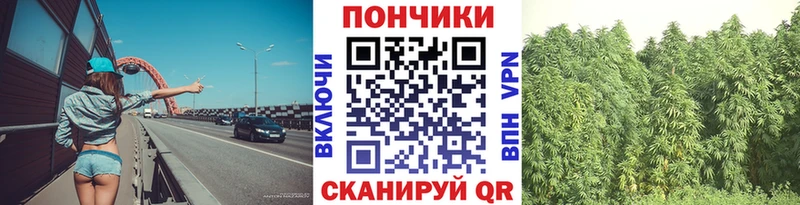 как найти   Безенчук  Каннабис семена 